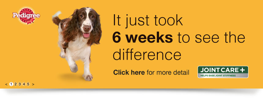 QED brand Design & Packaging _ Pedigree Joint Care